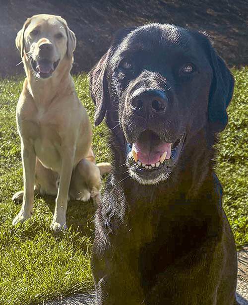 Armani und Leon